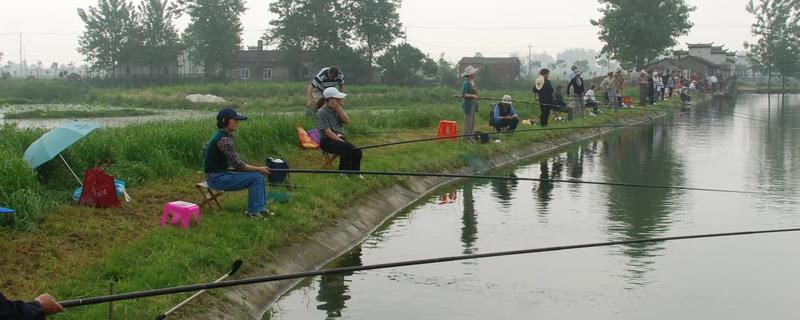 钓草鱼能用玉米吗，钓底和钓浮都可以