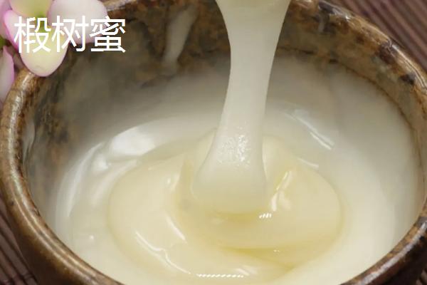 黑蜂蜜和椴树蜜哪种更好