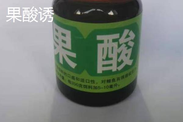 用什么小药钓鲮鱼比较好，炎热天气可以使用果酸诱