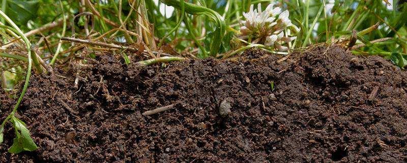 土壤板结的危害，严重板结会影响种植效益