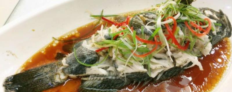 冷冻石斑鱼能不能清蒸，清蒸石斑鱼是粤菜中的一道传统名菜