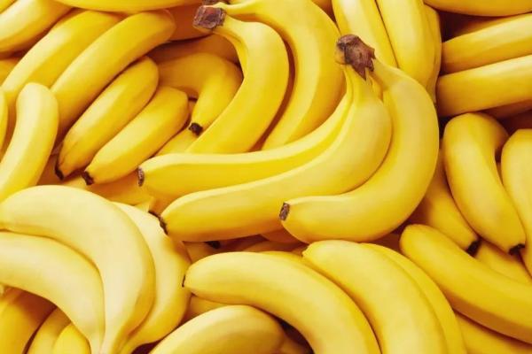 香蕉裂果的原因是什么，缺钙或偏施化肥都可导致