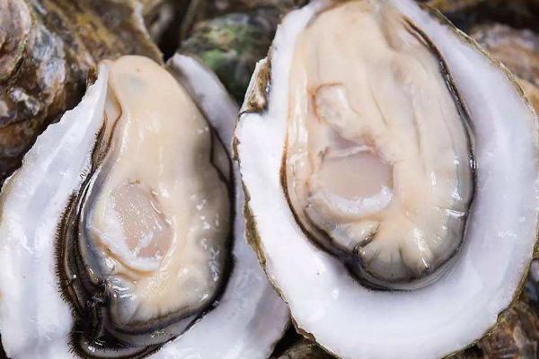 通常用什么鱼饵海钓，鱼饵有活饵和死饵