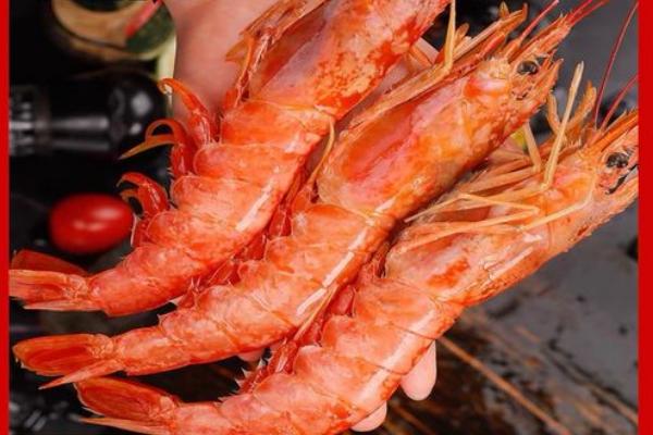 阿根廷红虾属于什么虾，捕捞出水后需要立即速冻