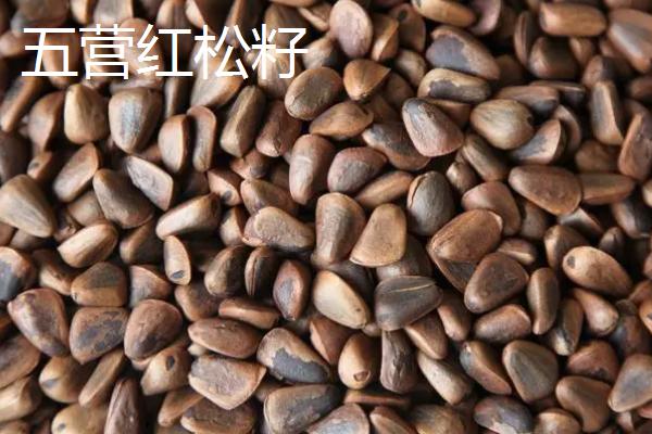 黑龙江伊春的特产，是我国优质黑木耳主产区