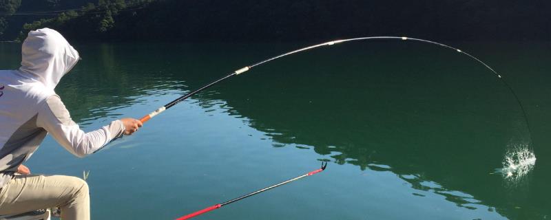 传统钓鱼竿品牌推荐，主要有溪流竿和炮竿两大类