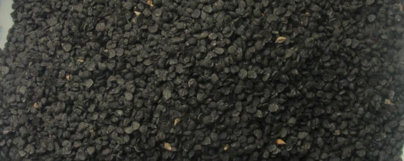 韭菜籽的栽培技术，每采收一次就要追施一次肥料