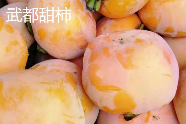 甘肃陇南市的特产水果，武都猕猴桃均属野生