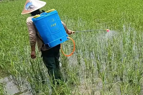 溴氰菊酯是什么药，是一种常见的杀虫药