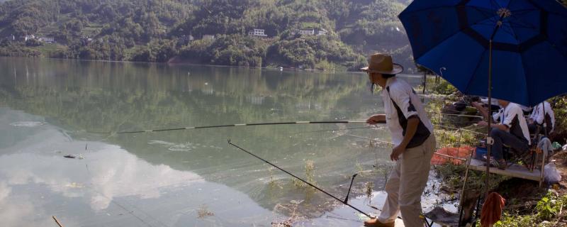 钓鲤鱼是钓底还是钓浮，可以钓底也可以钓浮