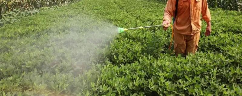 花生微肥施用技术，不同肥料的施用方式不同