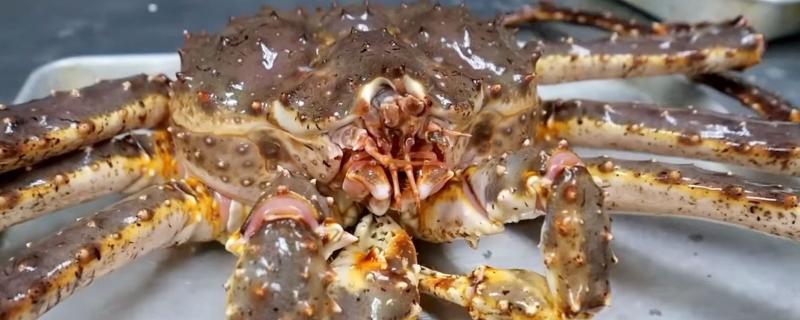 帝王蟹的种类，品种较多且个头比较大