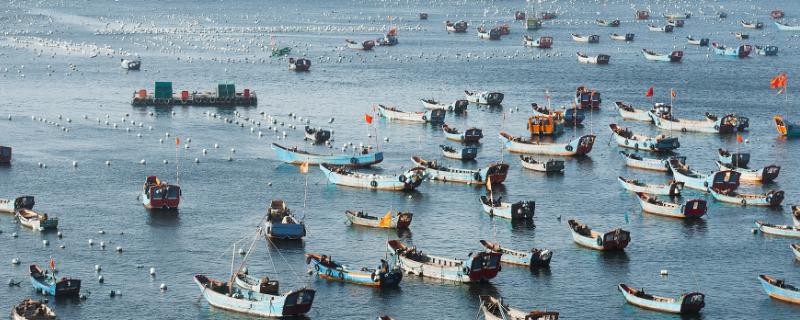 为什么舟山渔场渔业资源丰富，寒流与暖流交汇鱼群较为集中