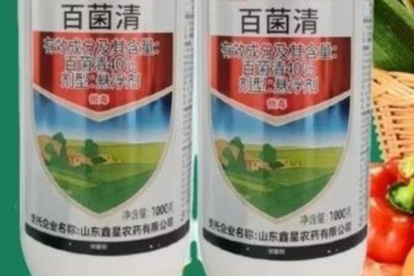 百菌清杀菌剂治什么病，主治稻瘟病、叶锈病、叶斑病等