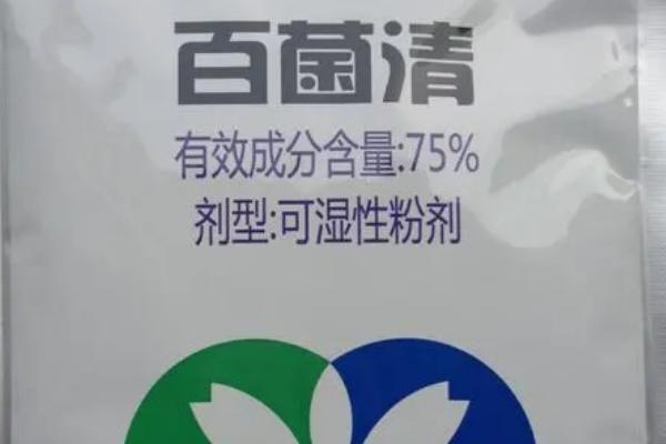 百菌清杀菌剂治什么病，主治稻瘟病、叶锈病、叶斑病等