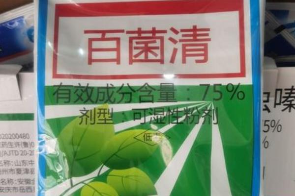 百菌清杀菌剂治什么病，主治稻瘟病、叶锈病、叶斑病等