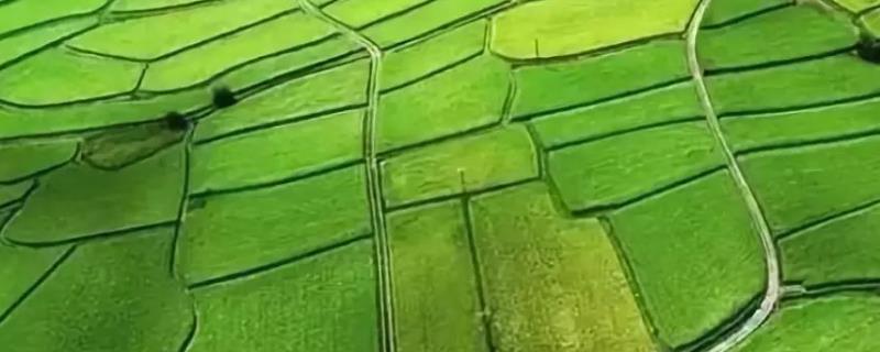 农业绿色发展如何推进，以科技创新为基础