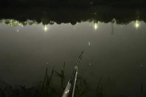 夜钓用蚯蚓还是饵料好，取决于鱼情、钓法、环境