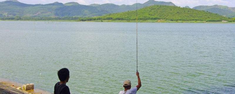 水库钓鱼攻略，一般使用手竿和海竿