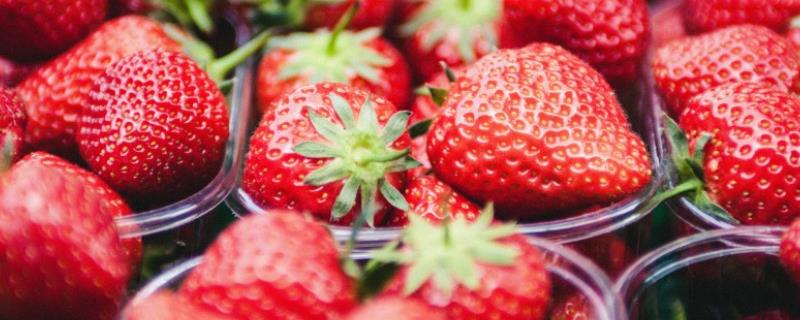 露天草莓种植技术，每年的3月下旬到4月中旬进行