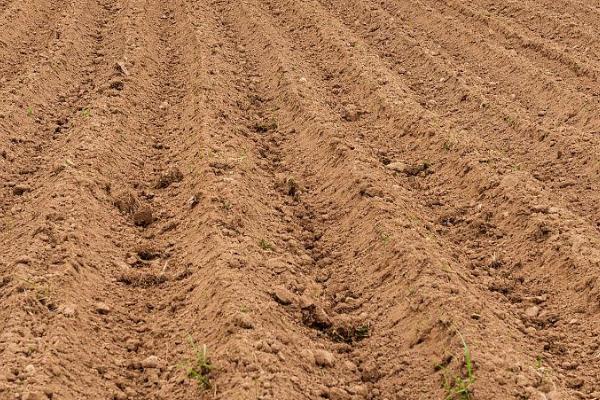我国的耕地土壤的主要问题，土壤出现板结、酸化和缺钙等