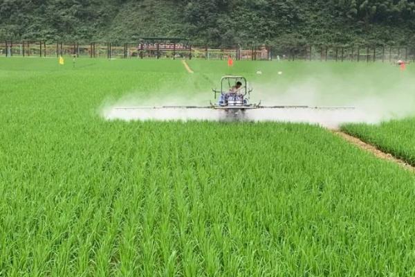 芸苔素内酯水稻的使用量，0.01%芸苔素内酯可溶液剂10ml可兑水15kg
