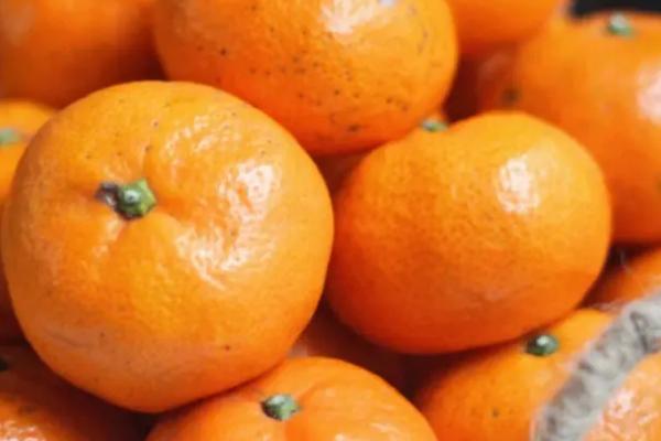 橘子几月份成熟上市，通常都是在10月份以后开始成熟