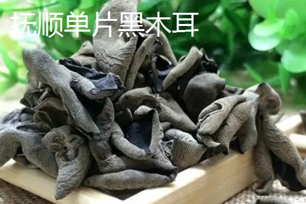 辽宁省抚顺县的特产，单片黑木耳为当地特色农产品