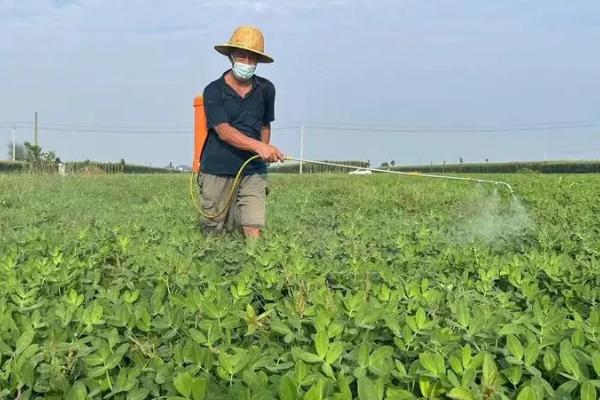 花生微肥施用技术，不同肥料的施用方式不同