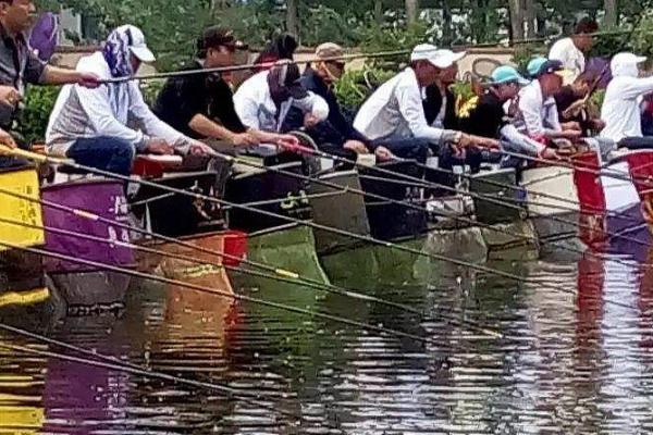 黑坑钓青鱼怎么钓上鱼快，要根据季节选择出钓时间