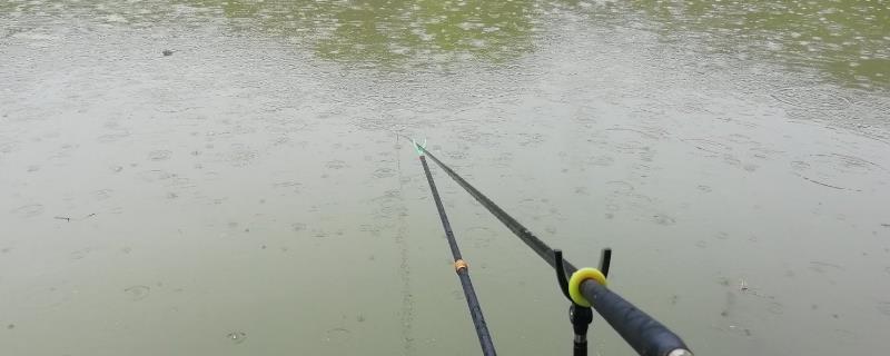 下雨天是否容易垂钓黄尾鱼，蒙蒙细雨天更容易钓获