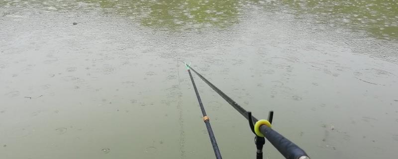 下雨天是否容易垂钓黄尾鱼，蒙蒙细雨天更容易钓获