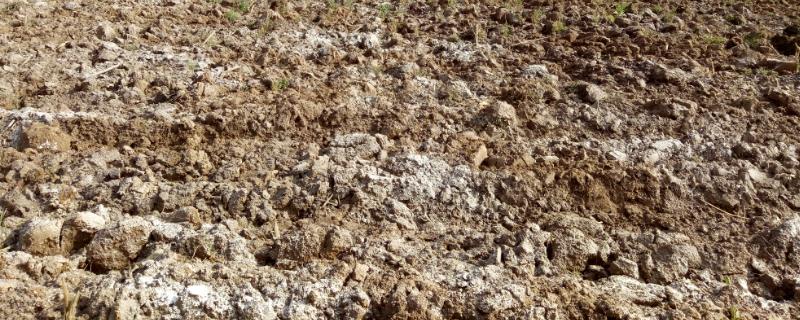 大田撒石灰的作用，可改良土壤酸碱度