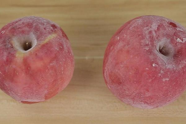 将苹果贮藏在零下6℃的环境中是否会冻坏，温度过低会破坏细胞结构