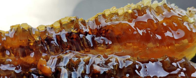枣花蜜属于凉性还是热性食物，属于偏热性的蜂蜜