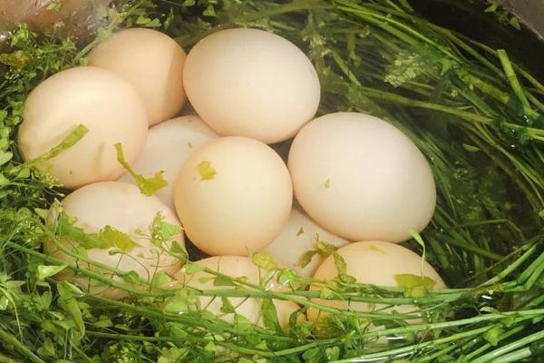 三月三日要吃地菜煮鸡蛋的原因，民间相信食用地菜（谐音“聚财”）可以发财