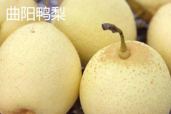 河北曲阳县的特产，曲阳烧饼是当地的传统名点