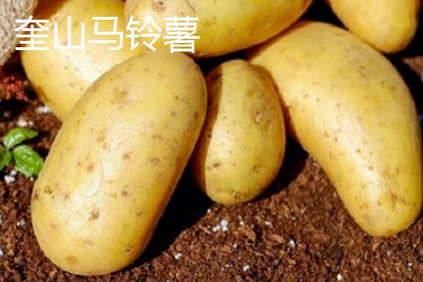 黑龙江省林口县的特产，滑子蘑深受国内外消费者的喜爱