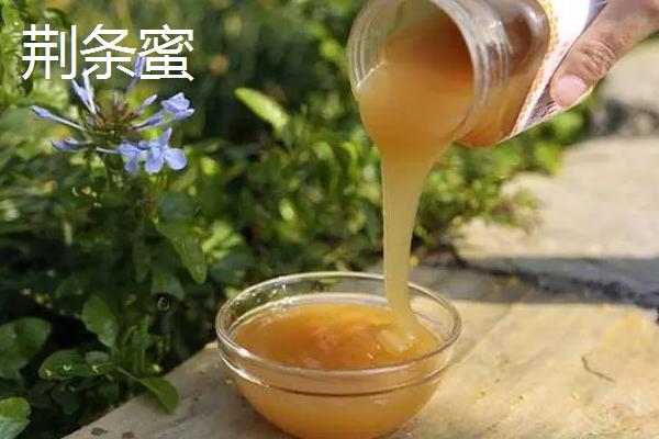 荆条蜜是什么蜂蜜，蜜源植物是荆条花