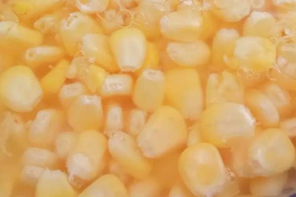 玉米种子处理方法，常用清水或用营养液浸种