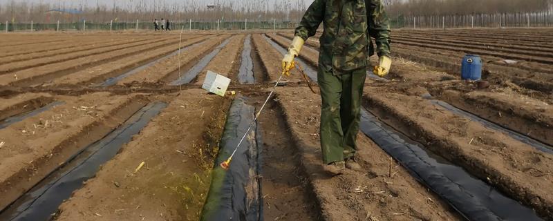 灭多威有什么作用，主要用来防治棉铃虫