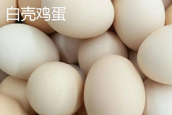 白壳鸡蛋和红壳鸡蛋有什么区别，主要差异在于颜色不同