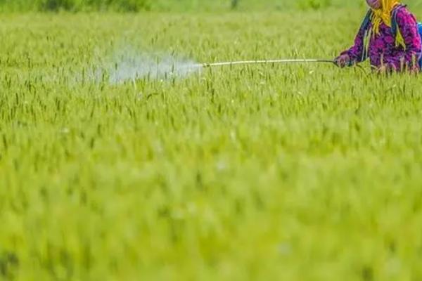 农药中毒有哪些原因，未做好防护措施容易中毒