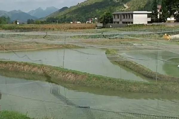 养殖泥鳅所需环境，需从水库、江河、湖泊中获取干净的水源