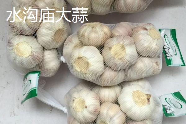 河南省宜阳县的特产，韭黄种食历史悠久