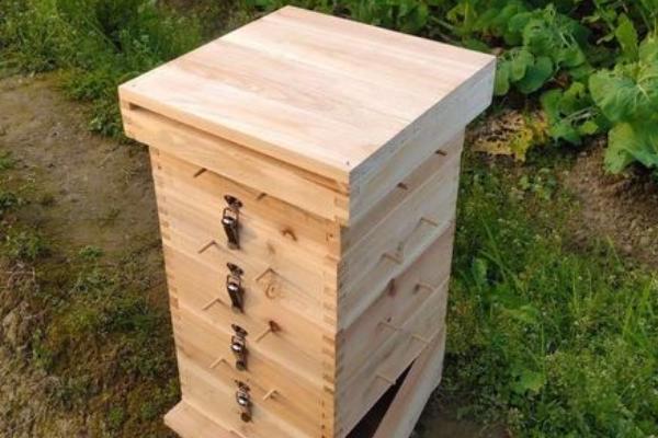 格子箱养蜂尺寸，最佳尺寸取决于蜂脾数量