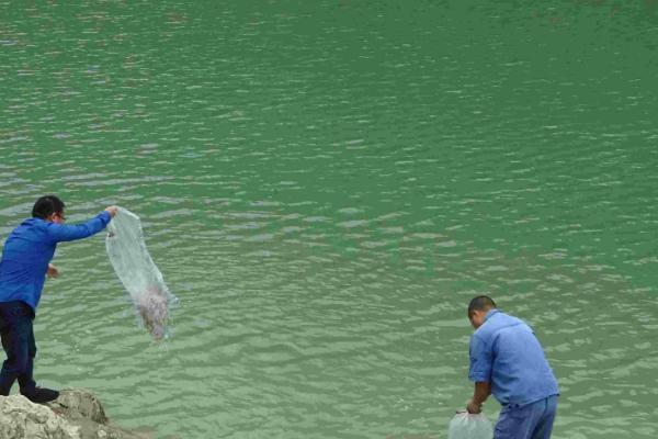 白刺盖太阳鱼的原产地，原产于墨西哥及美国北部地区