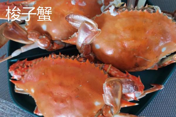 海红蟹和梭子蟹的区别，价格和外形均不同