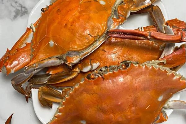 海红蟹和梭子蟹的区别，价格和外形均不同
