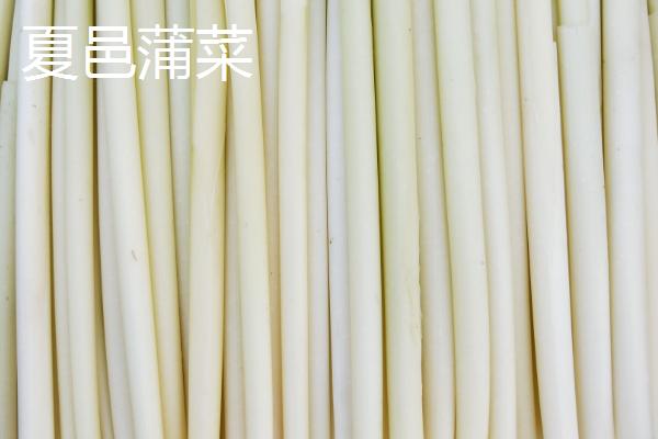 河南省夏邑县的特产，夏邑白菜是全国农产品地理标志
